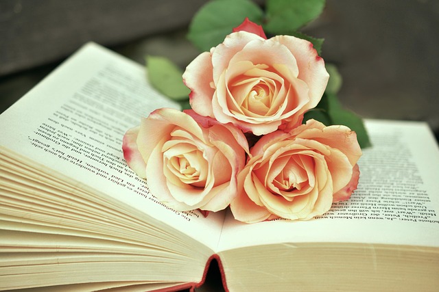 Zatraceni w literaturze: Jak książki kształtują naszą tożsamość